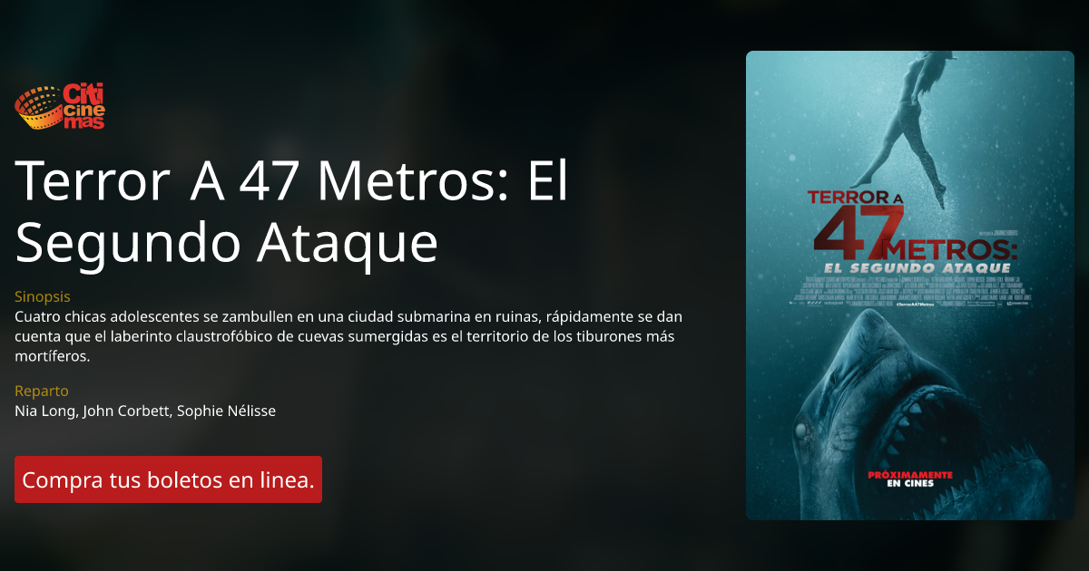 Terror A Metros El Segundo Ataque