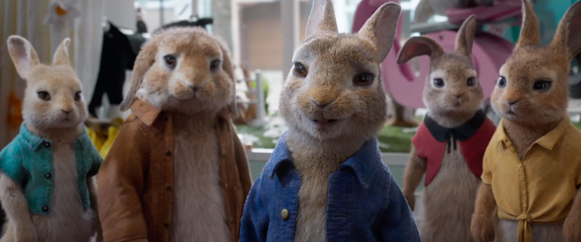 Peter Rabbit: Conejo en Fuga - Películas en Google Play